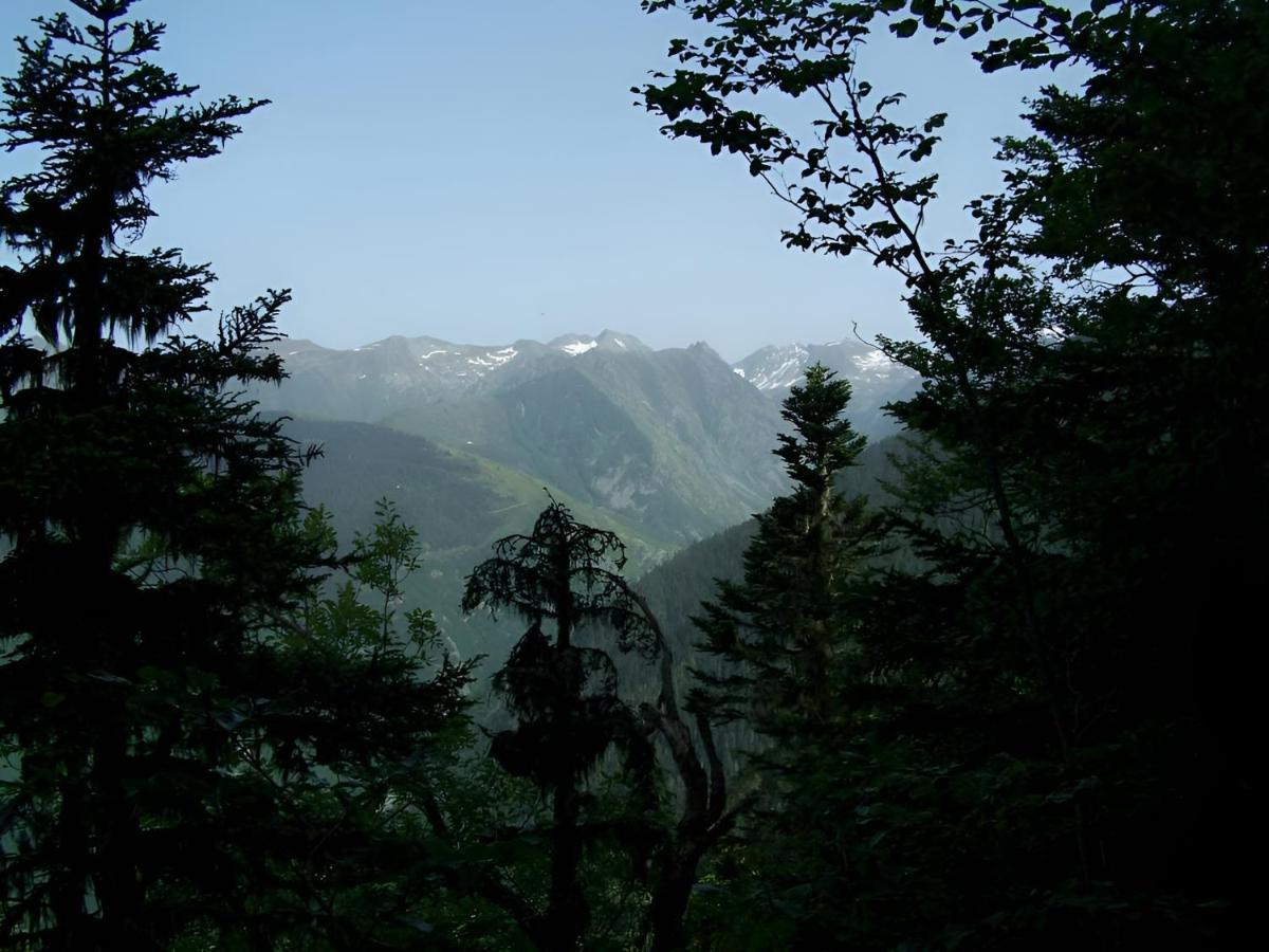 Studio 4 Personnes Au Pied Des Piste Plateau De Bonascre - Ax 3 Domaines Ete Hiver Акс-ле-Терм Экстерьер фото