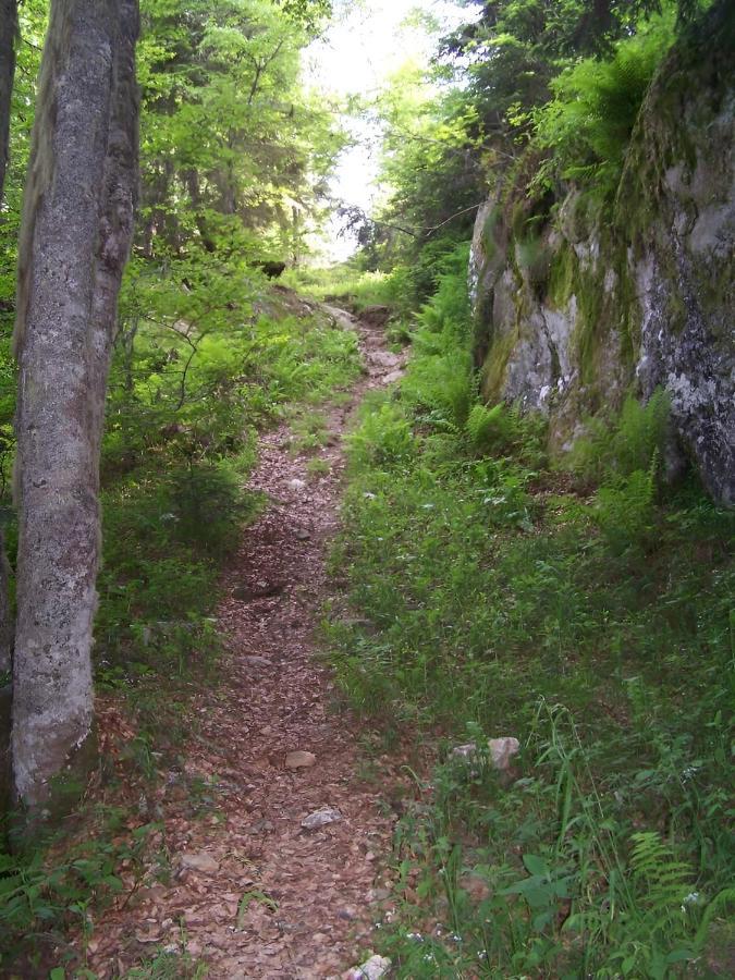 Studio 4 Personnes Au Pied Des Piste Plateau De Bonascre - Ax 3 Domaines Ete Hiver Акс-ле-Терм Экстерьер фото